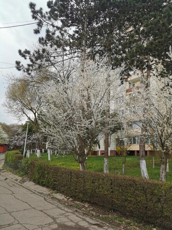 Apartament Maysa Cluj-Napoca Luaran gambar