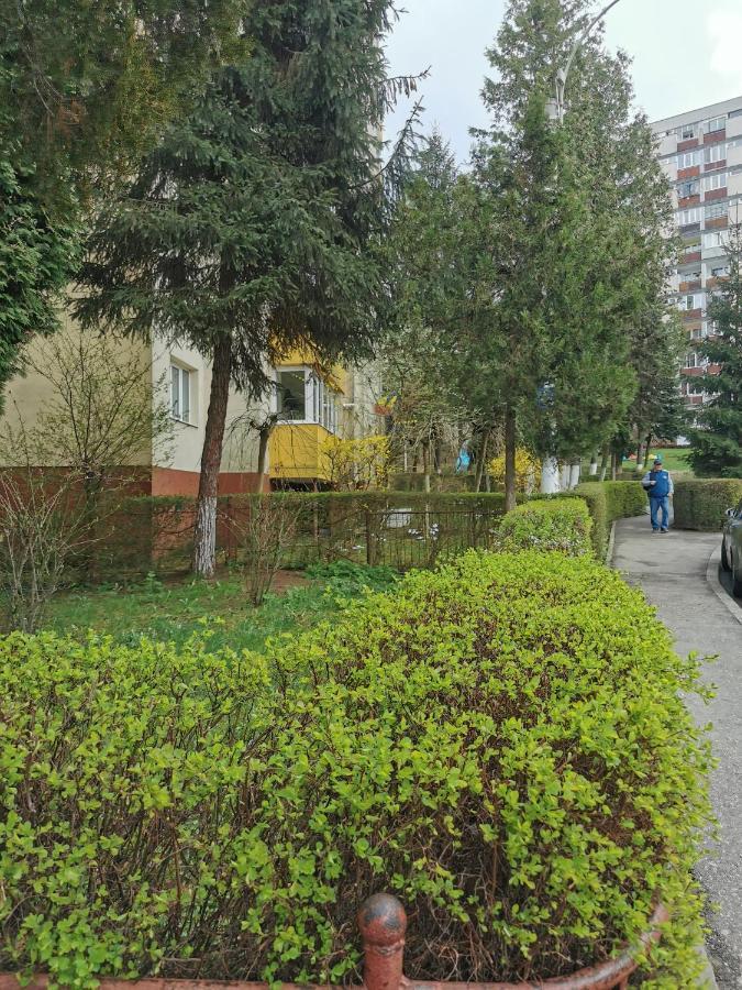 Apartament Maysa Cluj-Napoca Luaran gambar