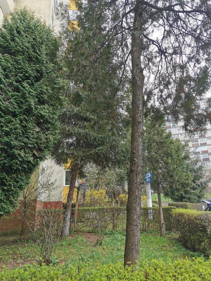 Apartament Maysa Cluj-Napoca Luaran gambar